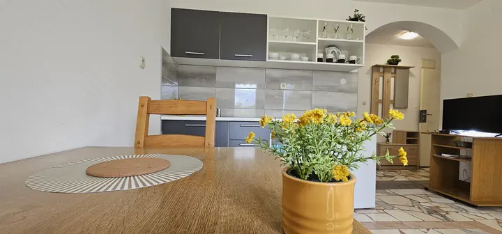 Kuhinja i dnevni dio apartmana