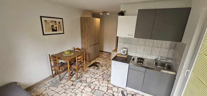 Kuhinjski prostor s blagovaonskim stolom