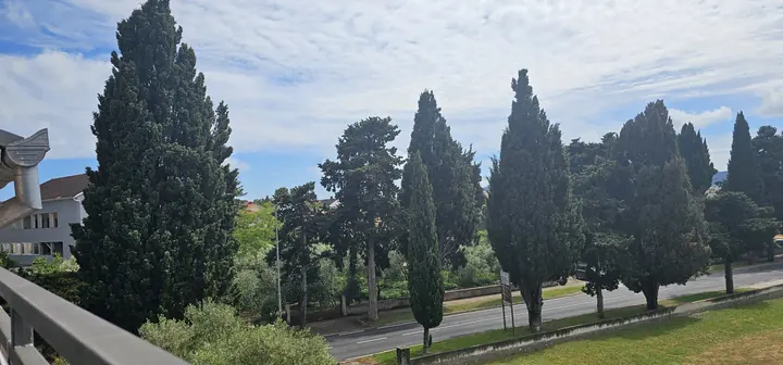 Pogled prema zelenilu i cesti u blizini objekta